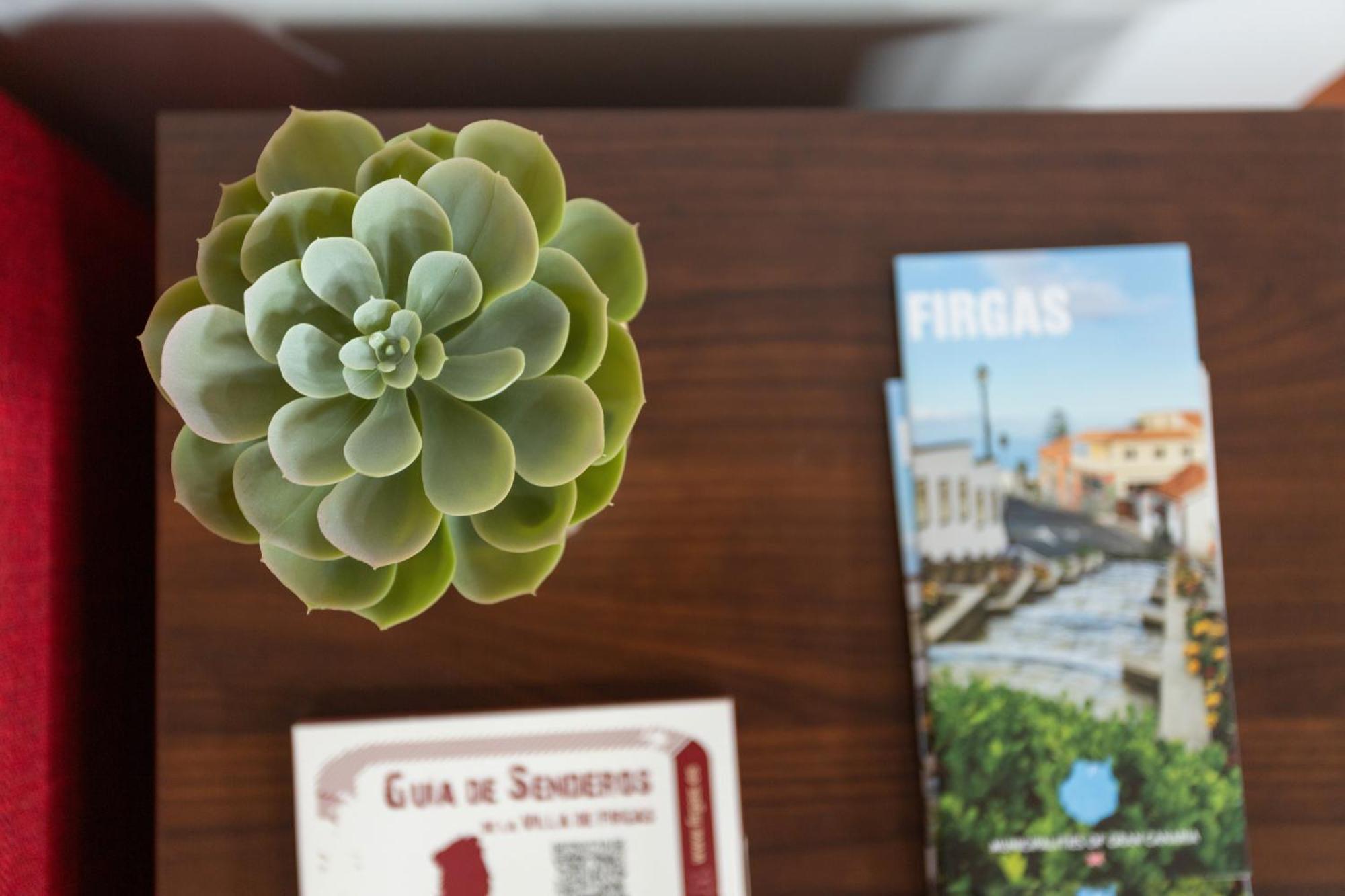 Casa Alejandro Apartment Firgas Екстериор снимка